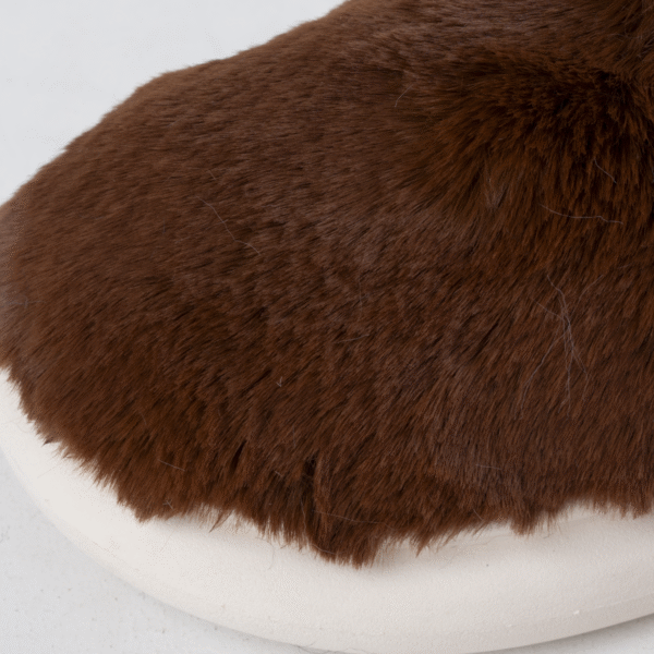 تفاصيل الصابوه