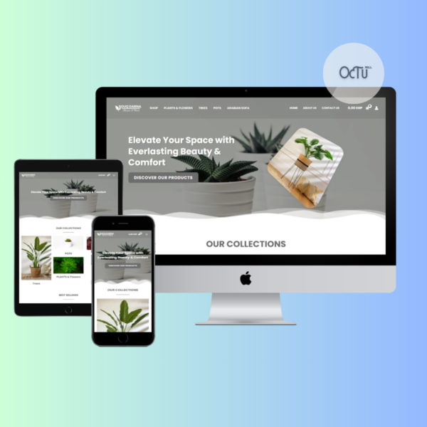 متجر إلكتروني إحترافي