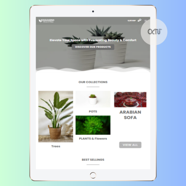 متجر إلكتروني ريسبونسيف